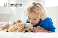 Sichere Tiervermittlungs-Plattform – Hier findet man perfektes Haustier!