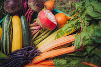 „So sollte Frische schmecken“: Knuspr startet Themenaktion zur Haupterntezeit