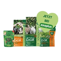 Über den Ärmelkanal: Burgess Pet Care plant seine Meerschweinchen-Aktionswoche nach…