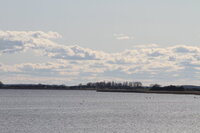 Urlaub mit Hunden am Meer  im Deichhaus St Barbara