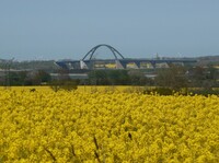 Der Immobilienmarkt in Fehmarn: Trends und Entwicklungen