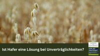 Ist Hafer eine Lösung bei Unverträglichkeiten?