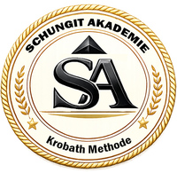 chungit Akademie: Fundiertes Wissen über Schungit und Edelschungit strukturiert lernen