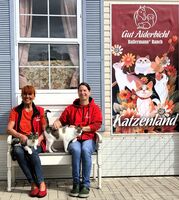 Ein Jahr Gut Aiderbichl Katzenland