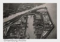 Der Elbwald wird 100 Jahre alt