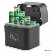 tka Universal-Akku-Ladegerät mit USB-C inkl. Li-Ion-Akkus