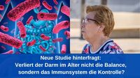 Neue Studie hinterfragt: Verliert der Darm im Alter nicht die Balance, sondern das Immunsystem die Kontrolle?
