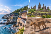 REISEN NACH EIGENEM RHYTHMUS: IKARUS TOURS LEGT INDIVIDUALREISEPROGRAMM 2027/28 VOR