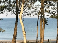 Meeresblick Panorama Wohnung mit eigenem Strandzugang hier sitzen Sie in der ersten Reihe